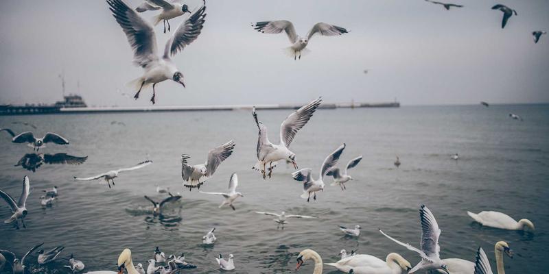 从中国标准到全球通行证：绿色产品认证如何接轨国际，赋能企业出海与碳中和使命