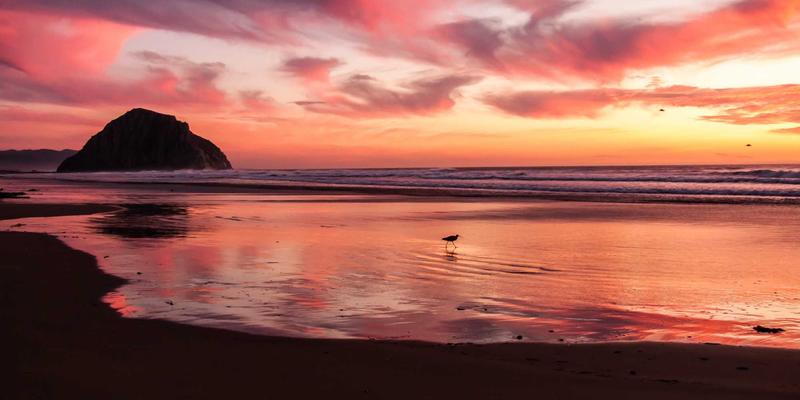 从快时尚到慢时尚：绿色认证与碳中和如何重塑纺织业未来