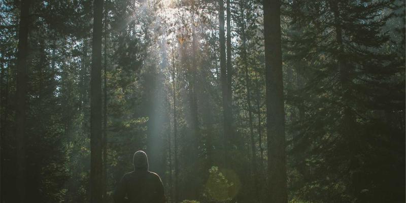 环保认证与绿色产品：食品行业可持续发展的市场准入与消费者认知深度调研