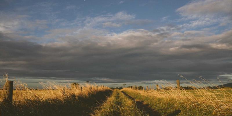 生态友好与责任担当：制造业零碳工厂认证如何超越ISO 14001，构建碳中和生产体系