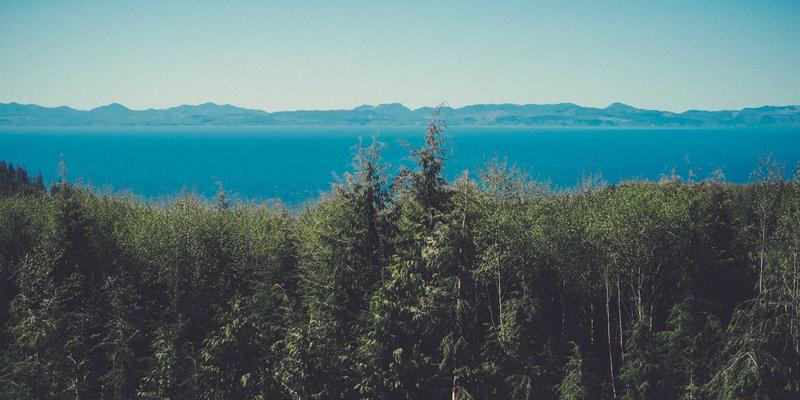 绿色包装认证：电商与物流企业实现碳中和的必由之路