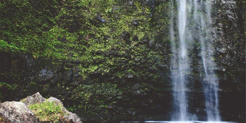 绿色认证47：引领可持续发展，践行环境责任的新标杆