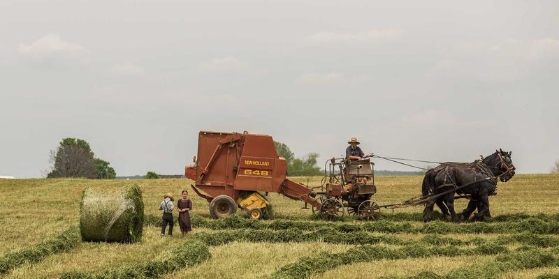 绿色认证58：企业可持续发展的权威通行证