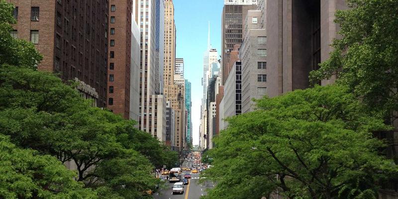 绿色认证72：企业践行环境责任与可持续发展的权威通行证