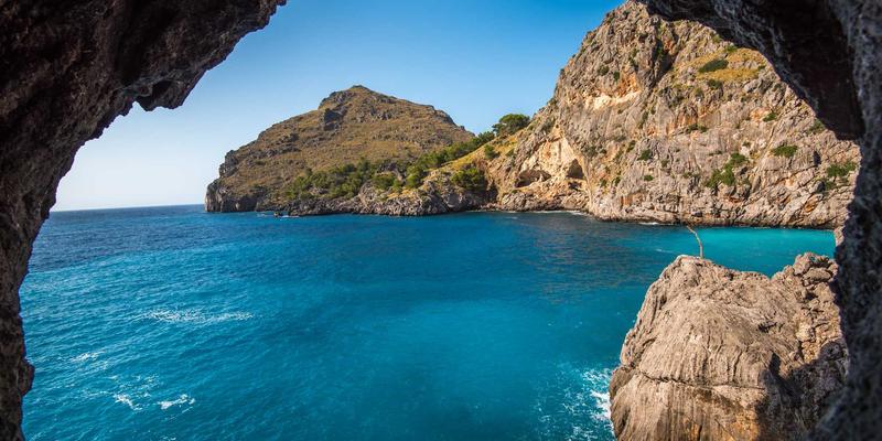 绿色认证74：开启企业可持续发展的生态友好新篇章