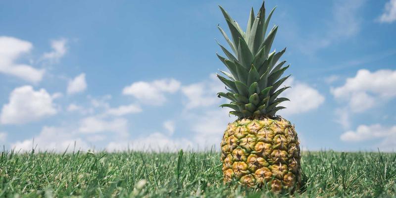 绿色认证大揭秘：从绿色产品到碳中和，企业如何选择正确的环境责任路径？